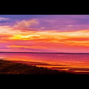 Meet your Posher, Isabelle